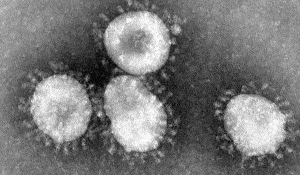 Mỹ: Các nhân viên phòng thí nghiệm suýt làm lây lan virus chết người