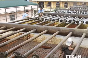 Nước nhiễm Asen: Hà Nội đã được cấp nước sạch sinh hoạt