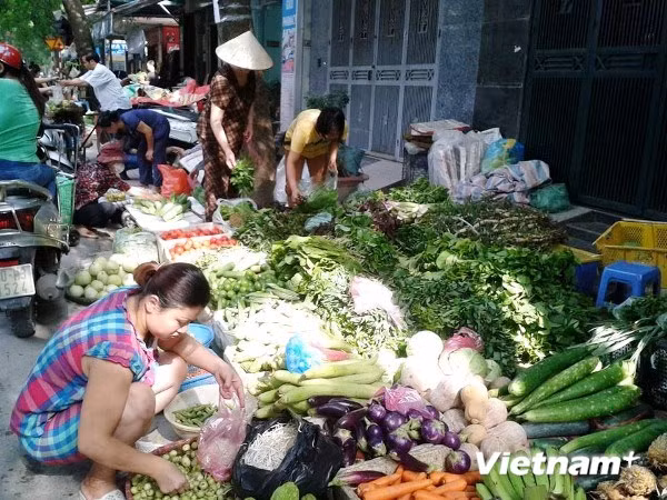 Mặt hàng rau xanh trở nên “đắt khách”. (Ảnh: Thanh Tâm/Vietnam+)