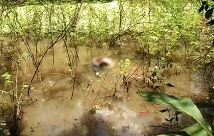 Thi thể nạn nhân nổi trên mặt ao.