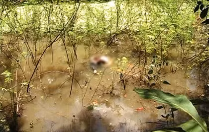 Thi thể nạn nhân nổi trên mặt ao.