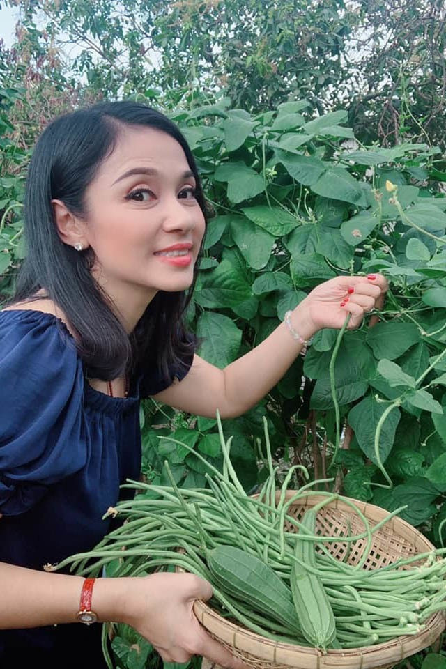 Phát "sốt" với vườn cây sai trĩu quả của Việt Trinh ảnh 8 Phát