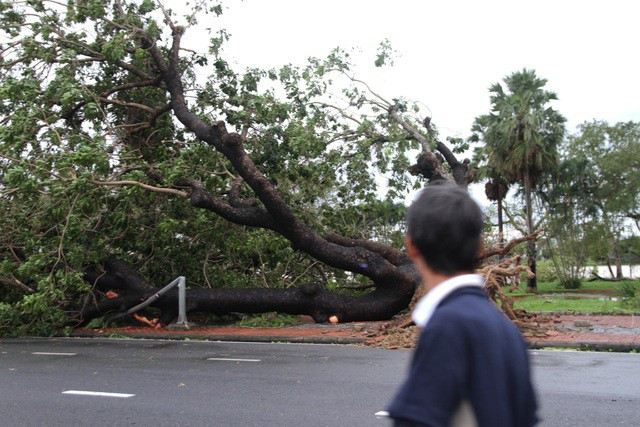 Bão số 13 trên vùng biển Quảng Bình -Thừa Thiên Huế, gió giật cấp 11 - ảnh 2