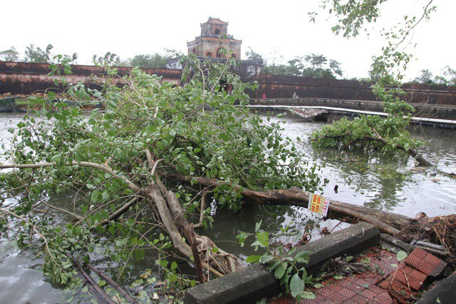 Bão số 13 trên vùng biển Quảng Bình -Thừa Thiên Huế, gió giật cấp 11 - ảnh 1