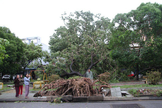 Bão số 13 trên vùng biển Quảng Bình -Thừa Thiên Huế, gió giật cấp 11 - ảnh 3