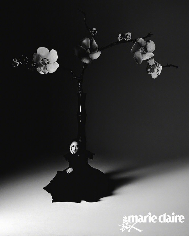 Châu Tấn gần 50 tuổi vẫn quá trẻ đẹp với thần thái mê hoặc - ảnh 15