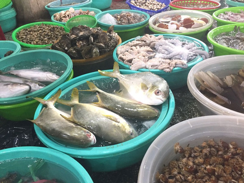 Hàu và các động vật có vỏ cung cấp nhiều kẽm, tốt cho mắt. Ảnh: NHẬT LINH. 10 thực phẩm hàng đầu tốt cho sức khỏe của mắt - ảnh 4
