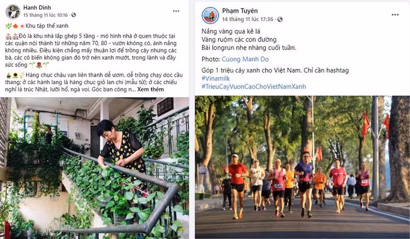 Kết thúc đẹp của chiến dịch online “Triệu cây xanh vươn cao” - ảnh 1