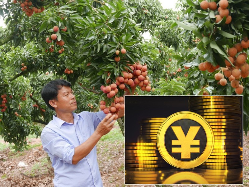 Tiền số Trung Quốc sẽ tác động đến doanh nghiệp Việt ảnh 1 Tiền số Trung Quốc sẽ tác động đến doanh nghiệp Việt ảnh 1