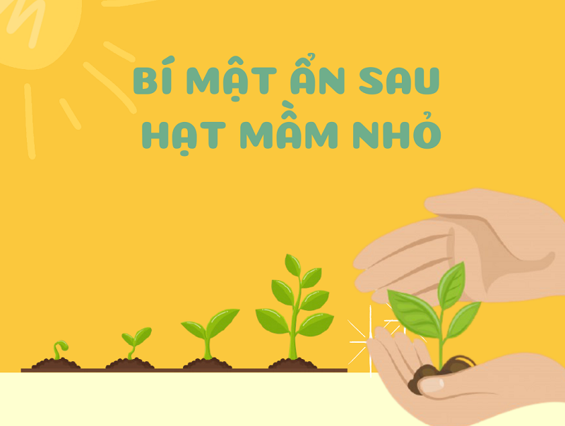 Khám phá "bữa tiệc" trò chơi khơi gợi sự sáng tạo ở Hồ Gươm - Hình 3 Kham pha