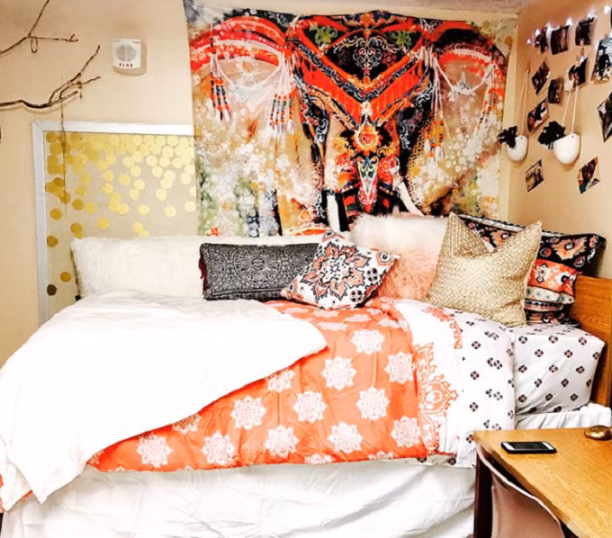 Những ký túc xá "thiên đường" của nữ sinh Mỹ ảnh 10