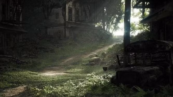 Trái Đất sẽ ra sao khi loài người biến mất? ảnh 5