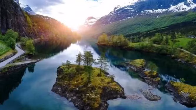 Trái Đất sẽ ra sao khi loài người biến mất? ảnh 7