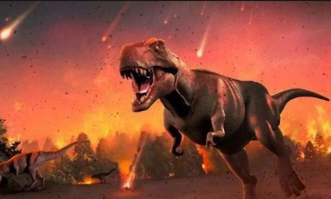 Trái Đất sẽ ra sao khi loài người biến mất? ảnh 1 Trái Đất sẽ ra sao khi loài người biến mất? ảnh 1