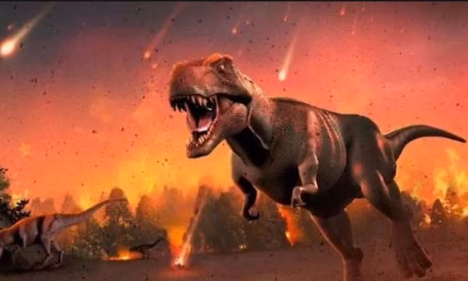 Trái Đất sẽ ra sao khi loài người biến mất? ảnh 1