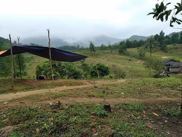 Hàng ngày hai em Tăm và Sương rời nhà lên chiếc lều để lấy sóng 4G học tập.