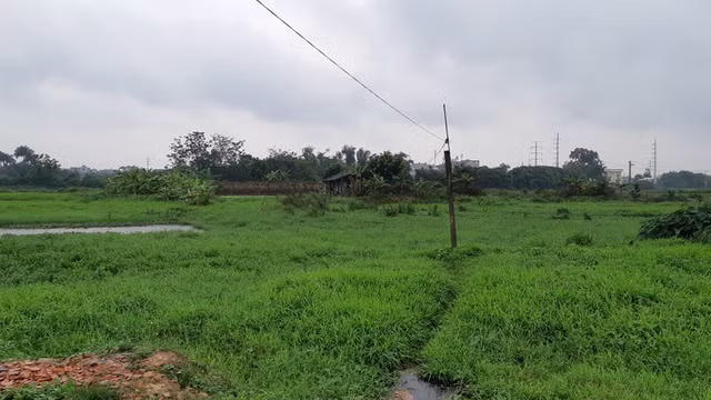 Nhà đầu tư dễ mất trắng khi tin lời cò rót tiền vào đất không sổ đỏ - 1