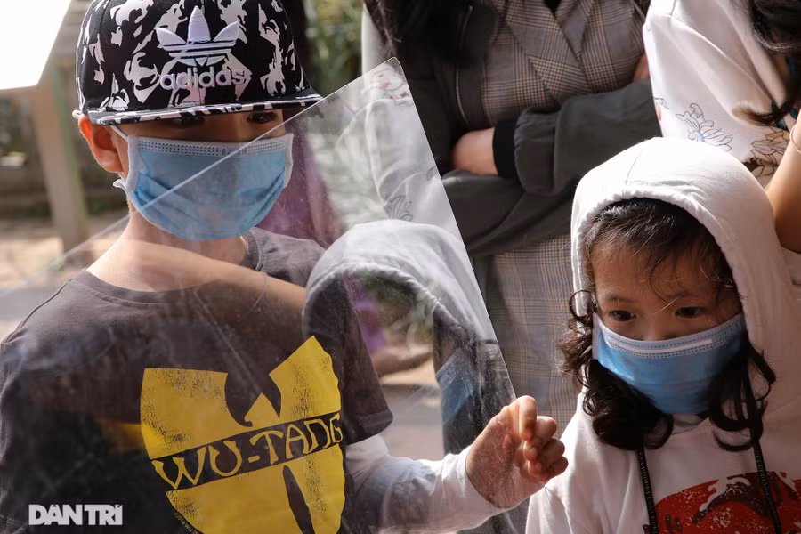 Ông đồ thời Covid-19 đeo khẩu trang cho chữ đầu xuân qua vách ngăn - 9