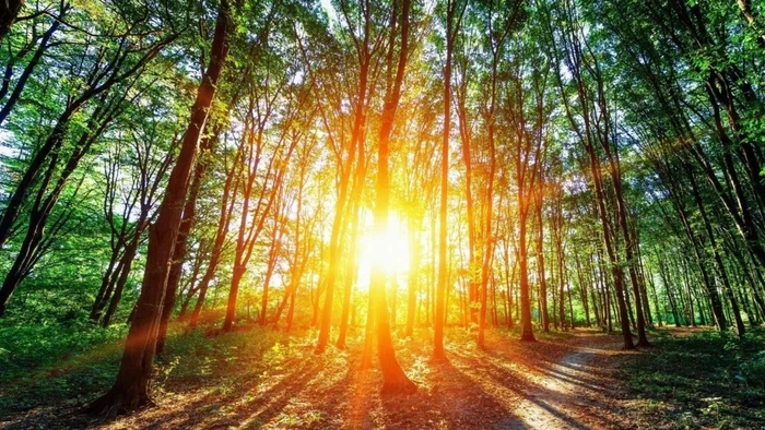 Các nhà khoa học đang tìm cách dùng ánh nắng Mặt trời để thu giữ CO₂.