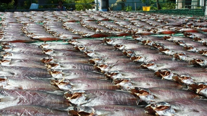 Khô cá sặc rằn là đặc sản nổi tiếng của tỉnh Cà Mau.