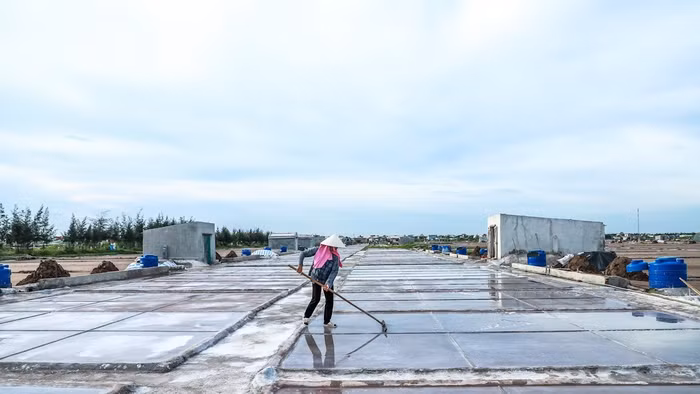 Diêm dân cần mẫn làm việc trên cánh đồng muối. 