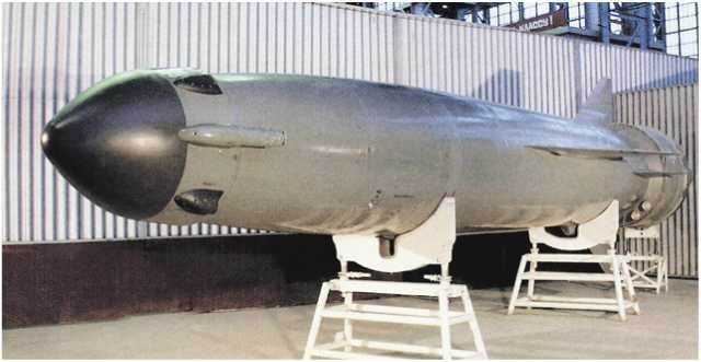 Tên lửa hành trình chống hạm P-700 Granit có kích thước rất đồ sộ. ten-lua-2-7-7-2017.jpg