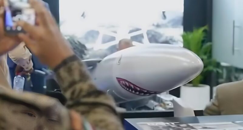 Tên lửa hành trình 1.000 km của UAE - Belarus ra mắt