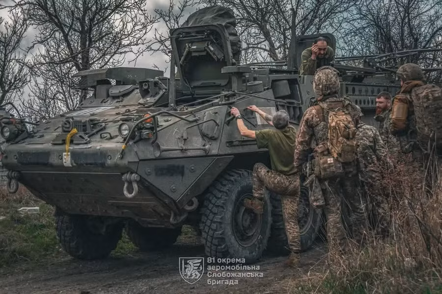 Thiết giáp Stryker bất ngờ xuất hiện trong biên chế Lữ đoàn Dù 81