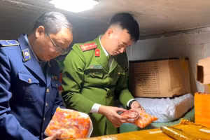 Phát hiện hàng chục tấn nội tạng động vật bốc mùi hôi thối tại Hà Nội