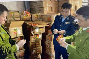 Phát hiện trên 13 tấn thực phẩm bao gói sẵn có dấu hiệu nhập lậu tại Hà Nội