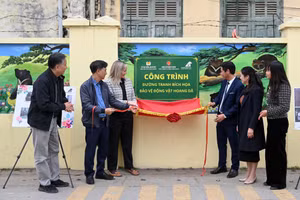 Bích họa đường phố bảo vệ động vật hoang dã