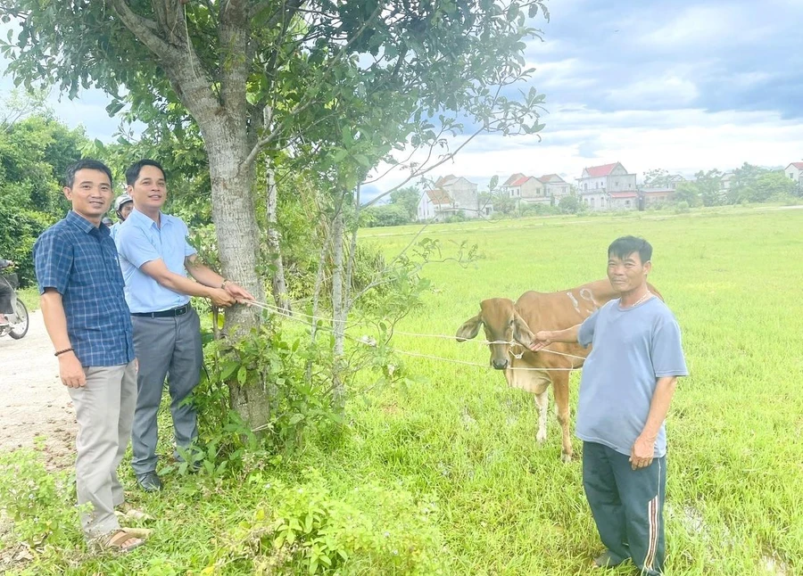 Chính quyền xã Điền Hương hỗ trợ bò cho người dân thuộc diện hộ nghèo, cận nghèo. (Ảnh: UBND xã Điền Hương)