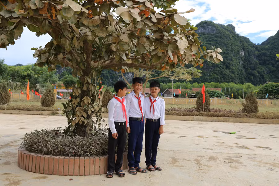 Mưa lớn khiến mực nước dâng cao, gây lũ lụt lớn, nhiều nơi bị chia cắt, nước chảy xiết và bị cô lập đã gây thiệt hại về cơ sở vật chất đối với ngành giáo dục và đạo tạo.