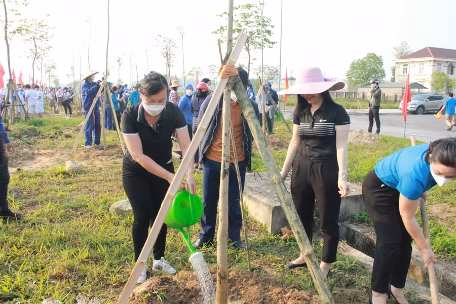 Trong ngày hôm nay, hơn 300 cây phong linh đã được trồng.
