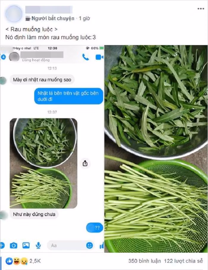 Nhiệt tình chỉ bạn cách nhặt rau muống, thanh niên suýt ngất khi xem thành quả