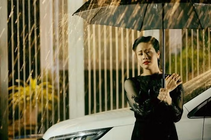 Nhật Kim Anh bước chân vào nghệ thuật từ năm 16 tuổi. Cô vừa là ca sĩ, vừa là diễn viên. Nhật Kim Anh được khán giả yêu mến qua loạt hit: "Lâu đài cát", "Thà người đừng hứa", "Đoạn đường vắng"... Cô cũng đã sở hữu gia tài với hơn 30 vai diễn khác nhau.