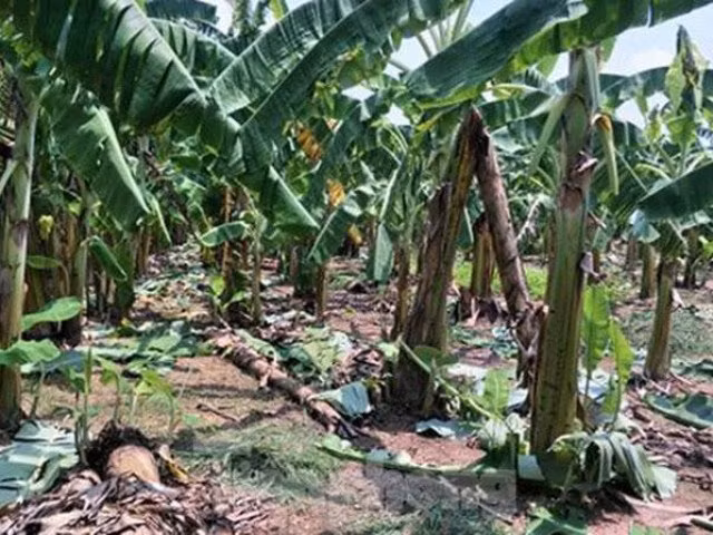 Hiện trường vụ án.
