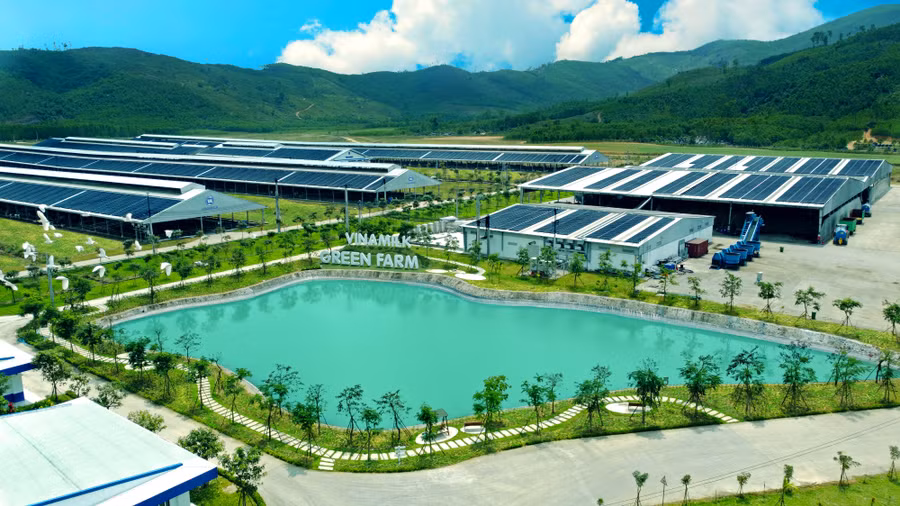 Các trang trại sinh thái Green Farm được Vinamilk đầu tư mạnh trong những năm gần đây.