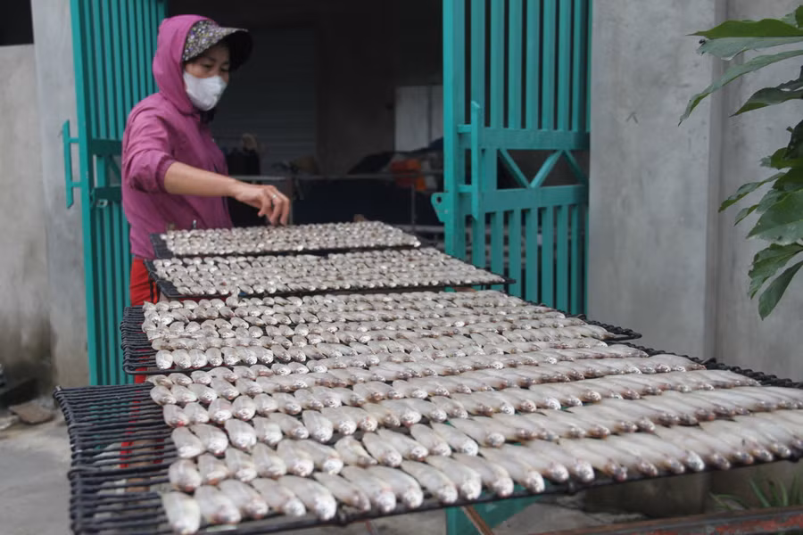 Muốn có sản phẩm cá nướng ngon, người dân phải luôn lựa chọn nguyên liệu tươi và bảo quản tốt.