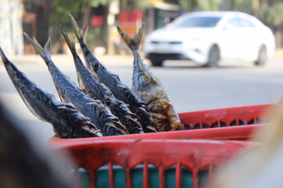 Làng cá nướng Hộ Độ nằm trên trục đường Tỉnh lộ 22 qua thôn Vĩnh Phú (xã Hộ Độ, huyện Lộc Hà, Hà Tĩnh).