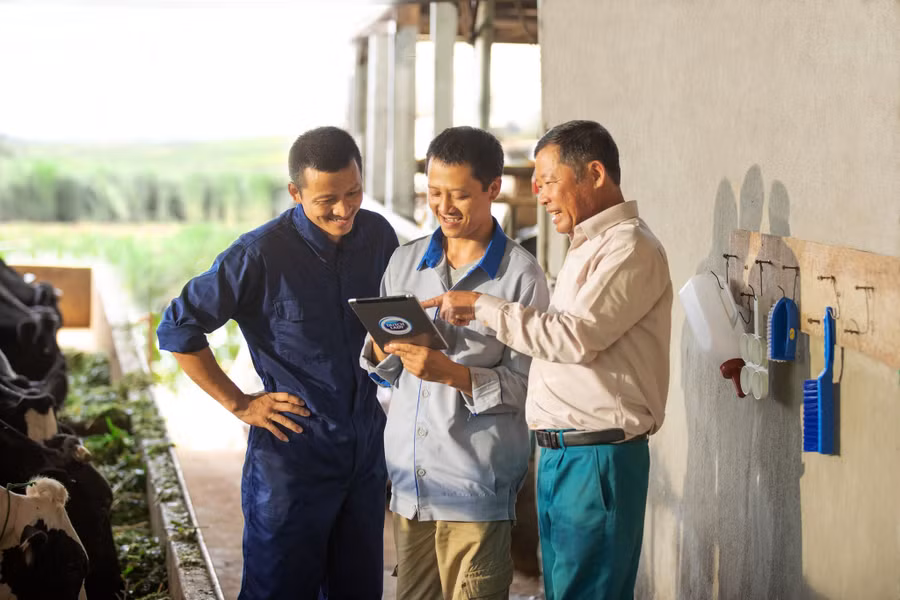Chương trình Phát triển Ngành sữa là một trong những sáng kiến tiên phong tạo giá trị cộng đồng lớn của FrieslandCampina Việt Nam. Chương trình Phát triển Ngành sữa là một trong những sáng kiến tiên phong tạo giá trị cộng đồng lớn của FrieslandCampina Việt Nam.