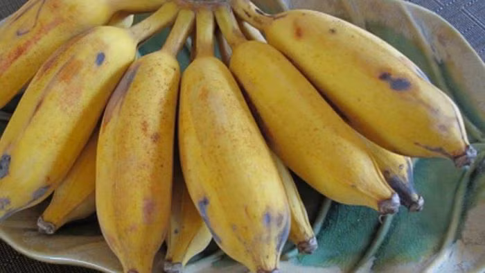 Chuối là loại quả chứa nhiều Vitamin C và B6.