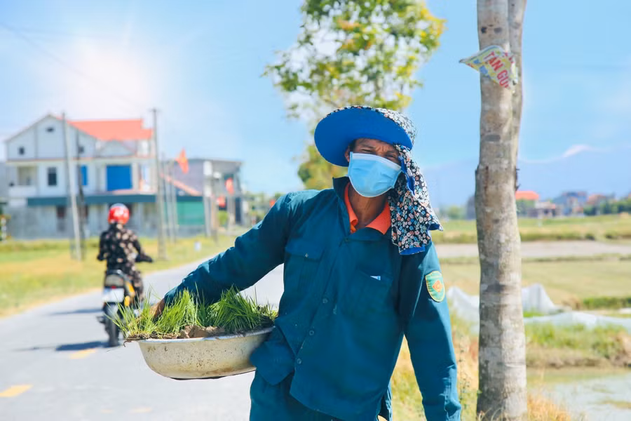 Nhiều người lao động vẫn phải vật lộn với nắng nóng để mưu sinh. Tại huyện miền núi Hương Khê, nơi được xem là chảo lửa của Hà Tĩnh nền nhiệt luôn duy trì xấp xỉ 40 độ C. Đây là thời điểm bà con nông dân đang ra đồng để gieo cấy vụ Hè Thu