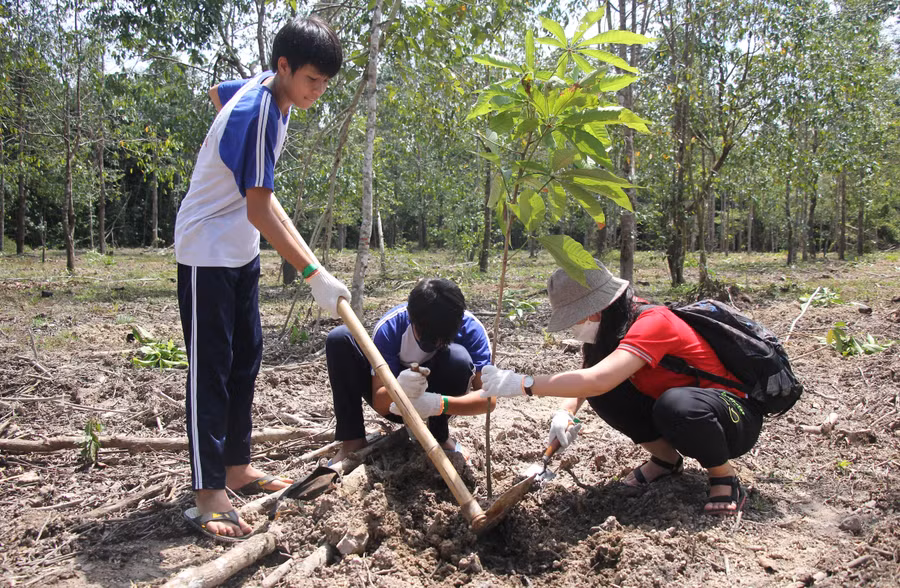 Việc phủ xanh rừng đặc dụng đầu nguồn sẽ góp phần tăng khả năng ứng phó với biến đổi khí hậu, giảm thiệt hại do bão lũ.
