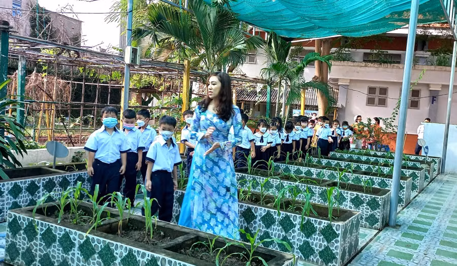 Giáo viên Trường Tiểu học Lê Văn Việt đưa học sinh tham quan khuôn viên trường.