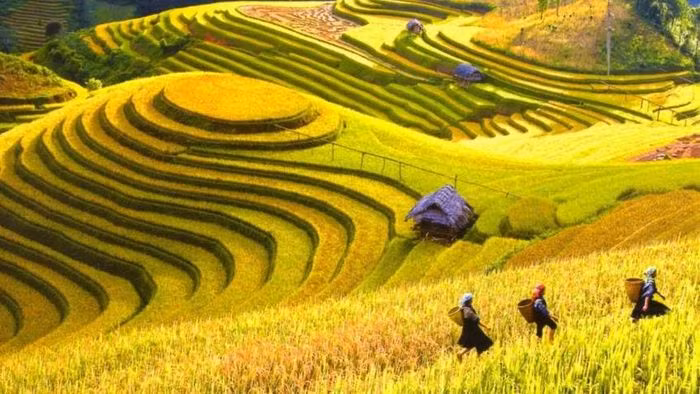 Việt Nam giành giải “Oscar du lịch” ảnh 10