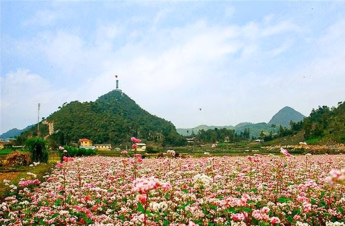 Việt Nam giành giải “Oscar du lịch” ảnh 12