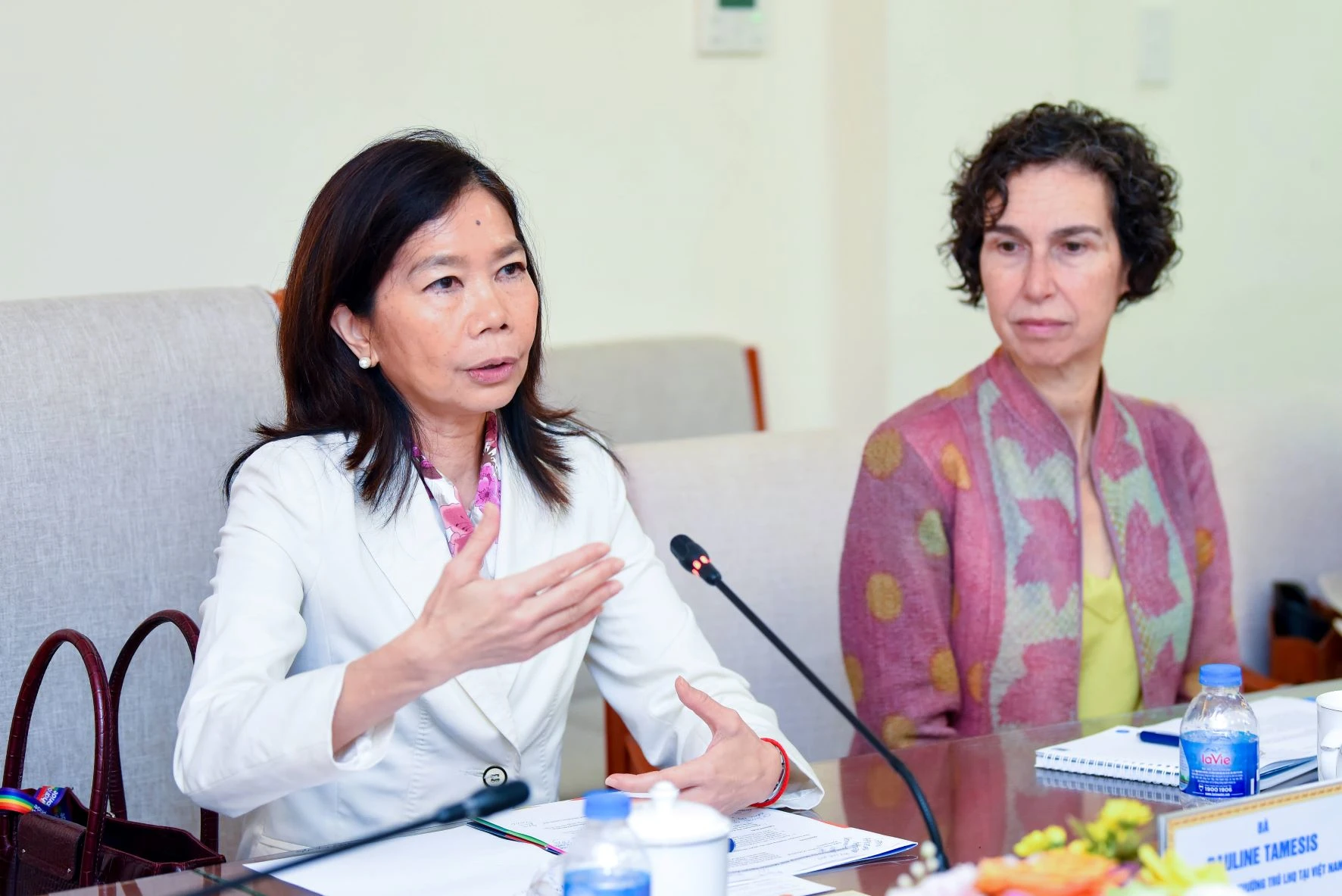 Bà Pauline Tamesis, Điều phối viên Thường trú Liên Hợp Quốc tại Việt Nam trao đổi.