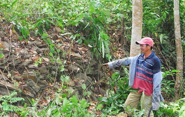 Trường Lũy Bình Định là một bờ lũy dài khoảng 147km - ảnh ITN.