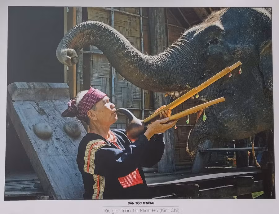 Dự kiến, triển lãm diễn ra vào tháng 11/2025 tại tỉnh Khánh Hòa - Ảnh minh hoạ: ITN.